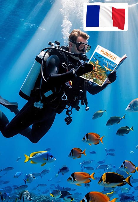 Un plongeur explore les profondeurs tout en lisant un magazine, entouré de poissons tropicaux, illustrant l'évasion marine.