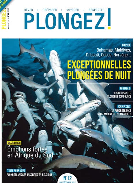 Découvrez des plongées nocturnes exceptionnelles, où l'adrénaline et la beauté marine s'entremêlent pour une aventure inou...