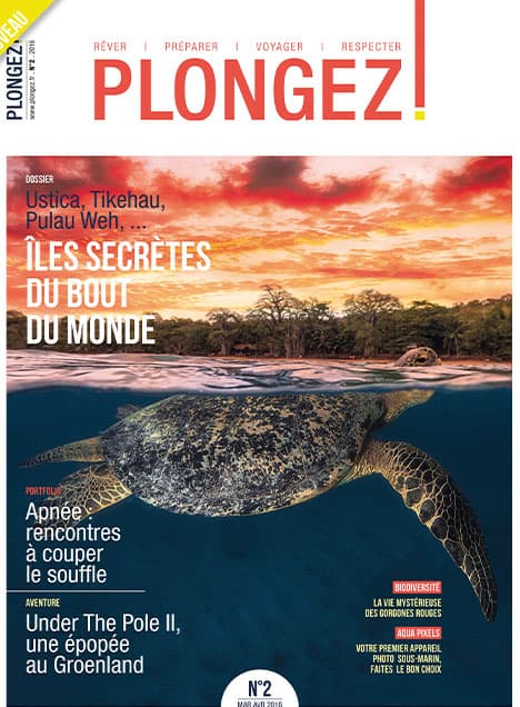 Une tortue marine nage sous un coucher de soleil flamboyant, illustrant l'évasion exotique et la biodiversité marine.