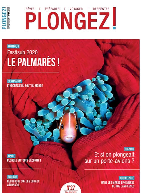 Un poisson-clown se cache dans une anémone colorée, illustrant la biodiversité fascinante des récifs coralliens.