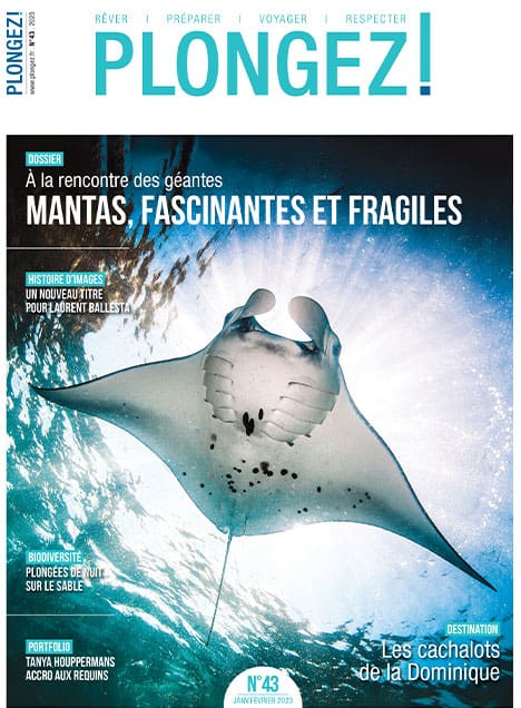 Explorez la majesté des raies mantas, symboles de la biodiversité marine, dans ce numéro captivant de Plongez!