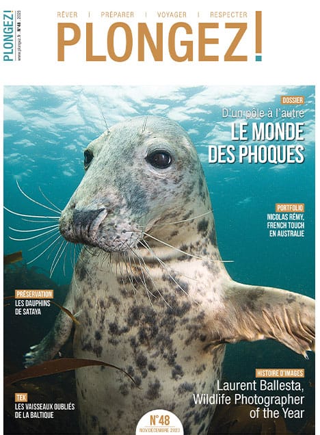 Explorez le monde fascinant des phoques dans ce numéro de Plongez!, mettant en avant la biodiversité marine.