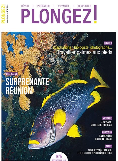 Découvrez la biodiversité marine exceptionnelle de la Réunion, un paradis pour les plongeurs avides d'aventure sous-marine.