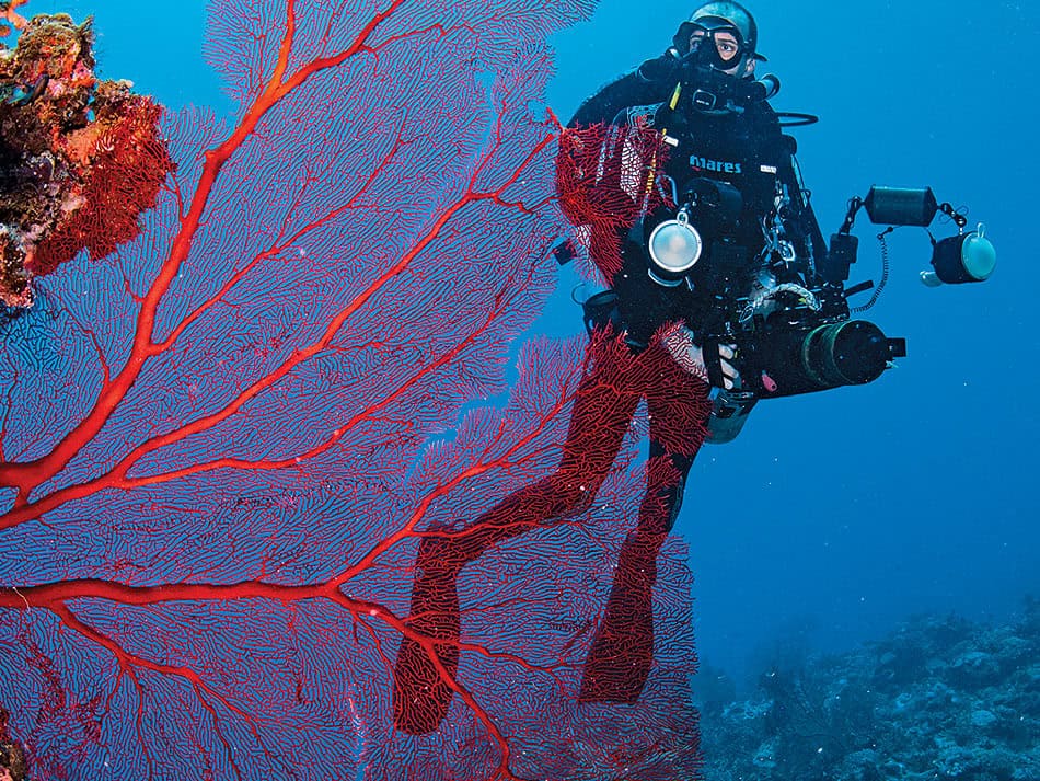 Plongee Beqa Lagoon Fidji 11