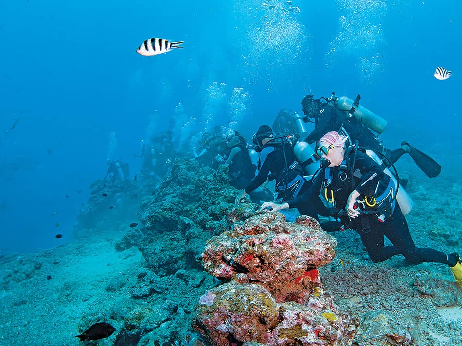 Plongee Beqa Lagoon Fidji 3
