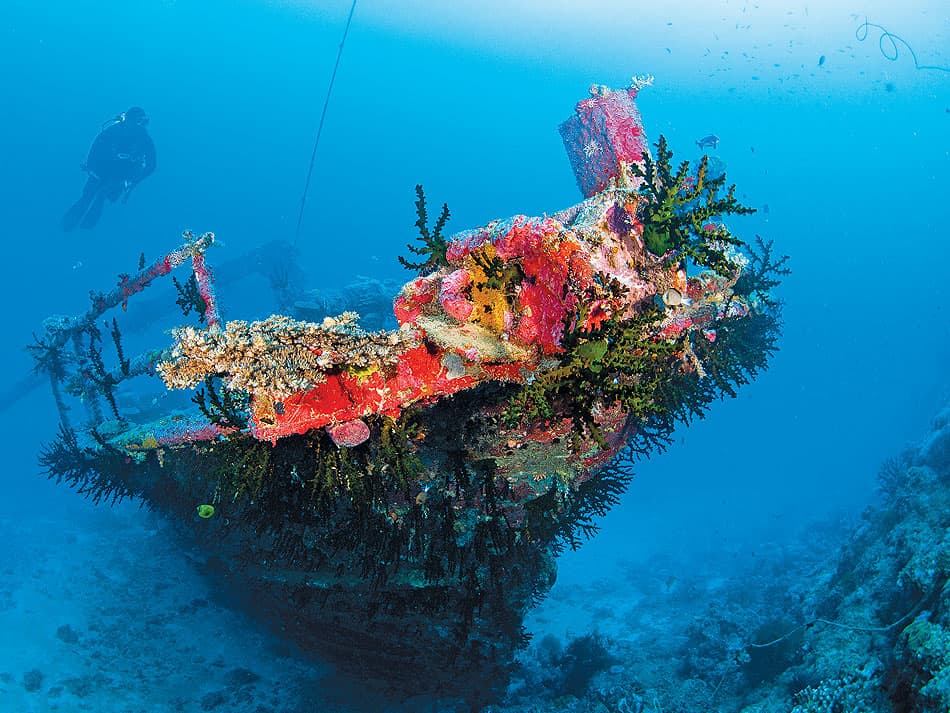 Plongee Beqa Lagoon Fidji 7