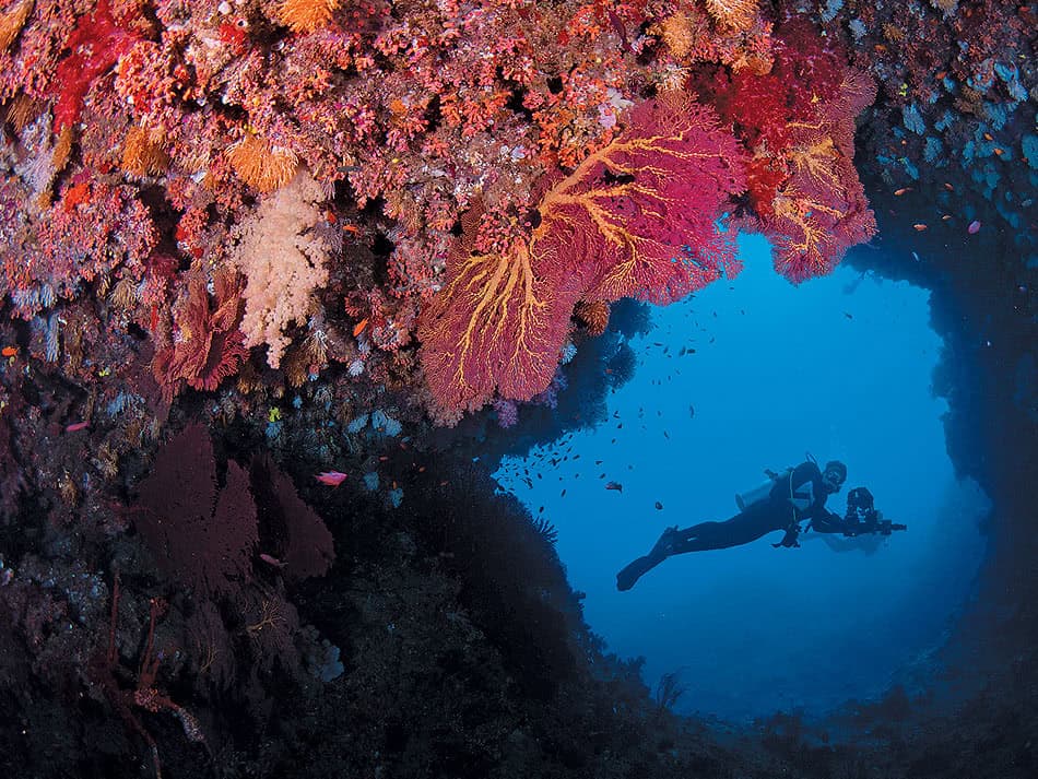Plongee Beqa Lagoon Fidji 8