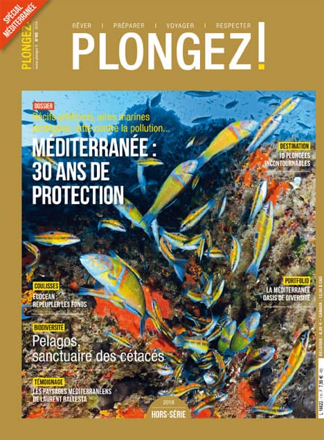 Explorez la Méditerranée, un sanctuaire marin vibrant, célébrant 30 ans de protection et de biodiversité exceptionnelle.