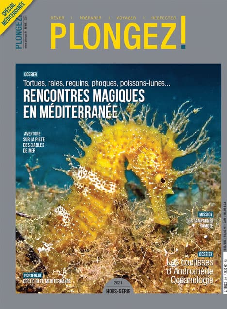 Explorez les merveilles sous-marines de la Méditerranée avec des rencontres fascinantes, comme ce majestueux hippocampe. #...