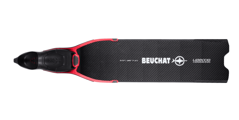 Palme Beuchat Libeccio 01(1)