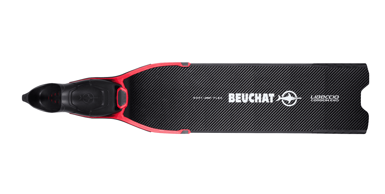 Palme Beuchat Libeccio 01(1)