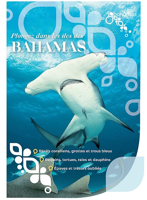 guide-plongeee-bahamas-optim Explorez les profondeurs des Bahamas, où récifs coralliens et requins-marteaux offrent une aventure sous-marine inoubliable.