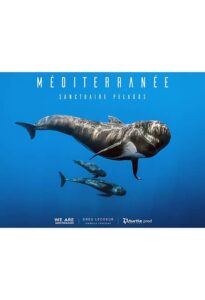 Méditerranée – Sanctuaire Pélagos