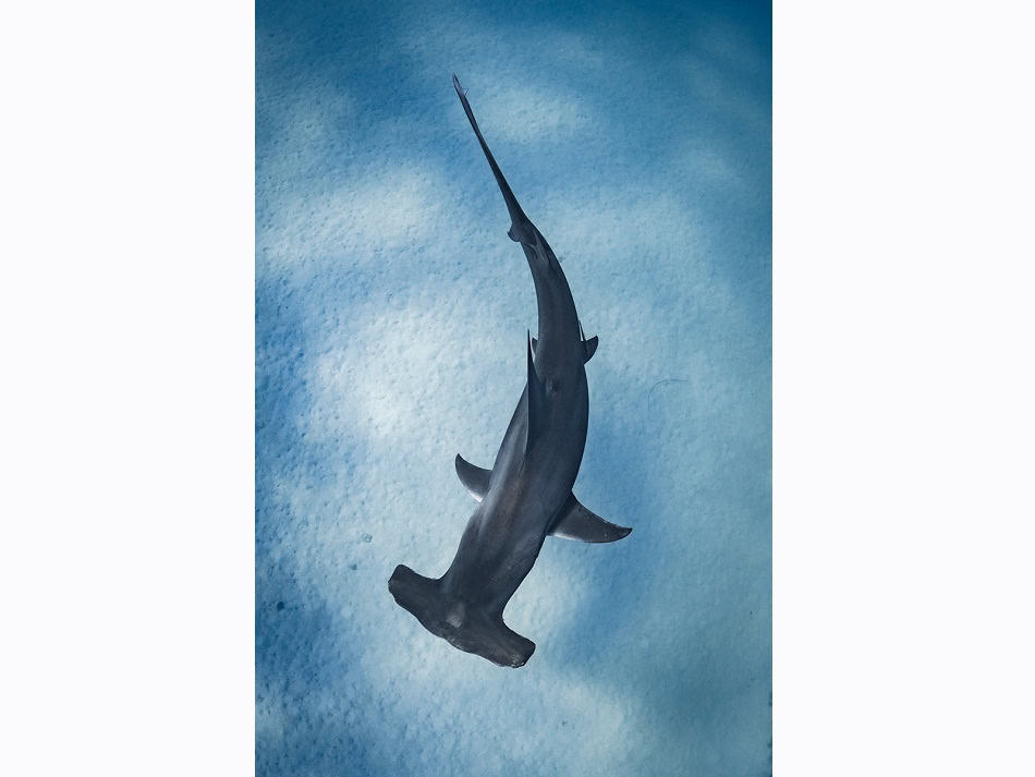 Mh1 Portfolio 6 Laura Gourgas Dpg Masters 2024