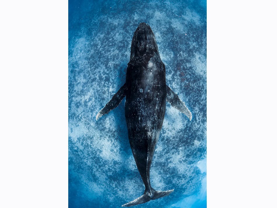 Mh1 Portfolio Laura Gourgas Dpg Masters 2024
