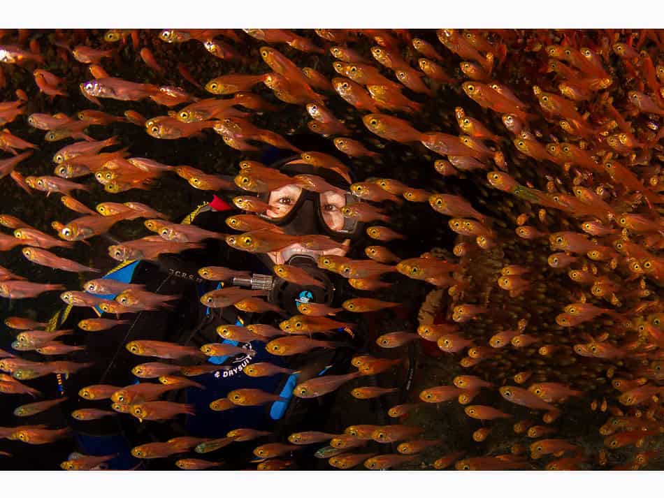 Ocean Art 2024 Grand Angle 3 Todd Aki