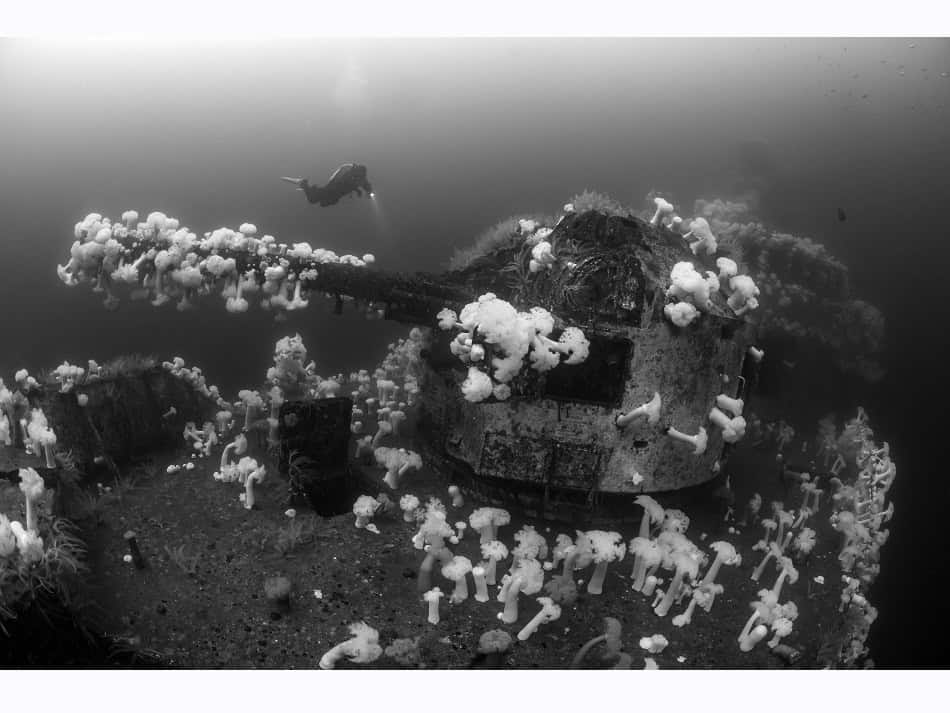 Ocean Art 2024 Noir Et Blanc 3 Borut Furlan
