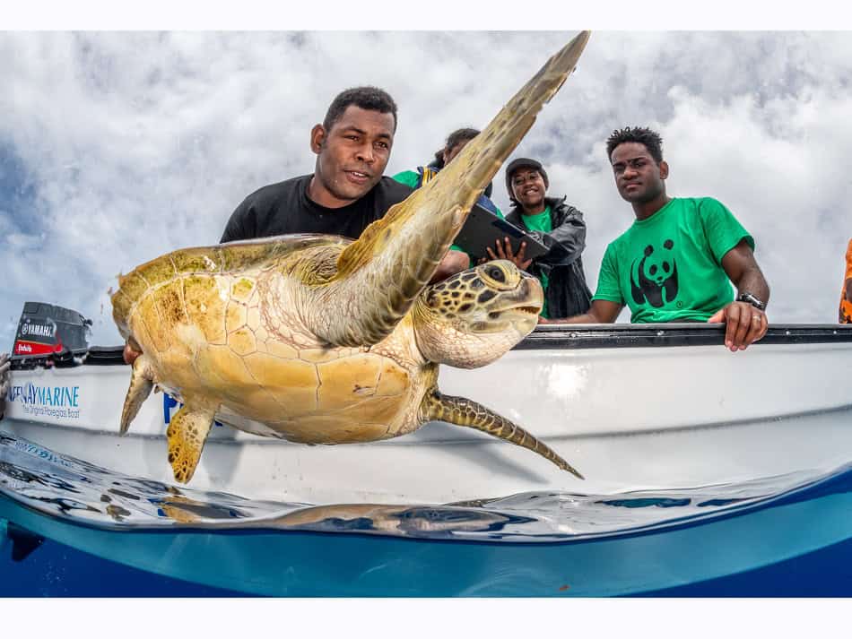 Ocean Art 2024 Protection Milieu 2 Tom Vierus