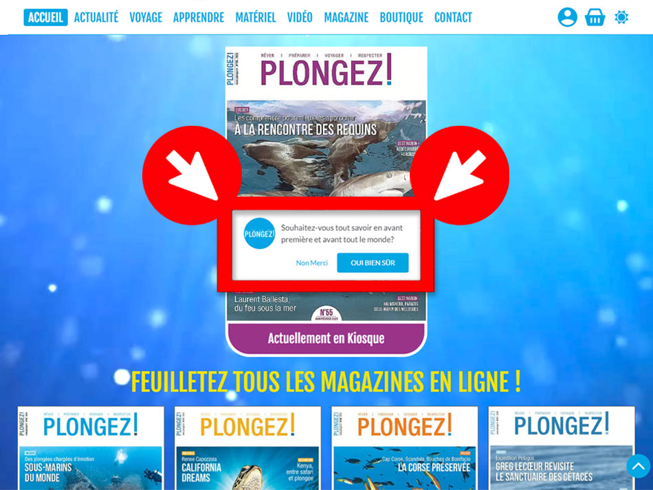 Plongez Les Push Notifications Plongee