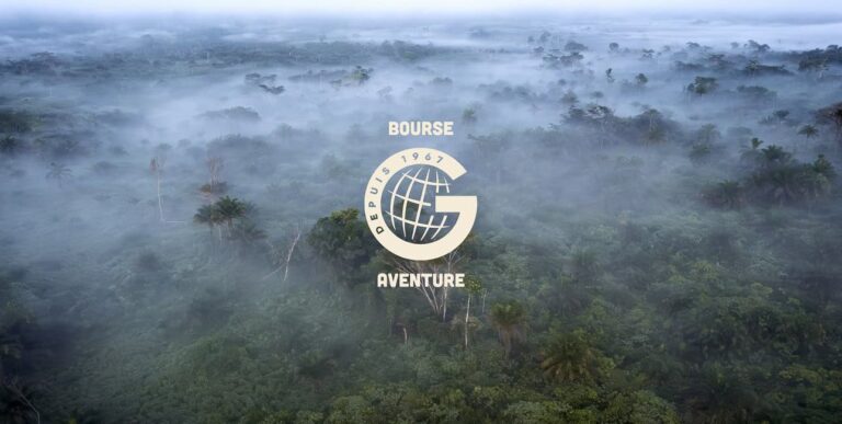 Un épais brouillard enveloppe une forêt luxuriante, évoquant une aventure mystique dans un écosystème préservé. 🌿