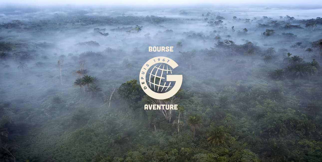 Un épais brouillard enveloppe une forêt luxuriante, évoquant une aventure mystique dans un écosystème préservé. 🌿