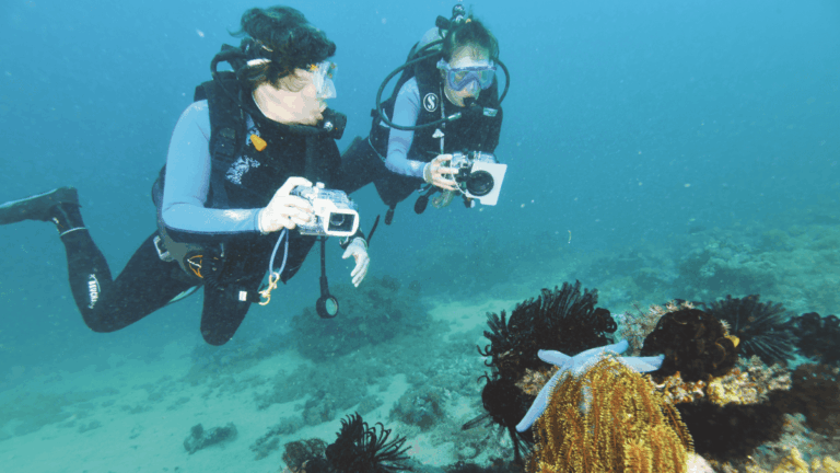 Aquapixel couverture