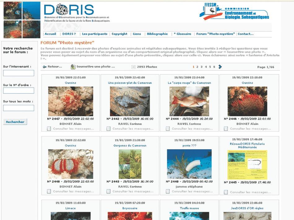 Doris (5)