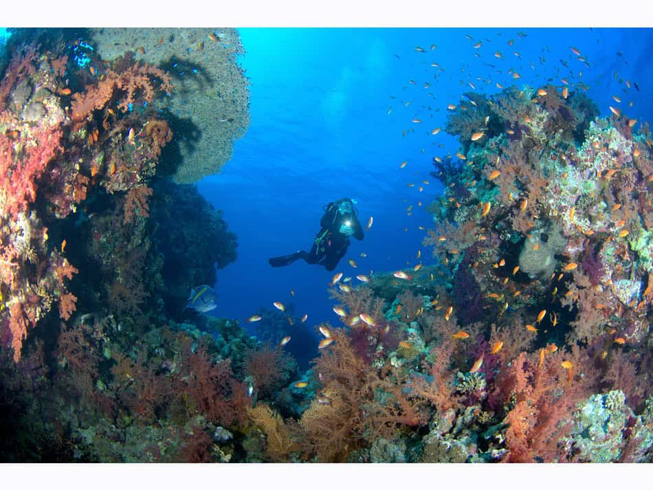 Hurghada daniel breckmann 15