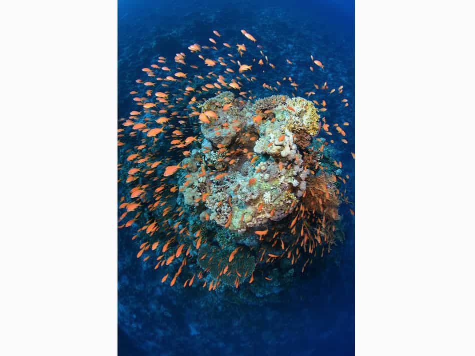 Hurghada daniel breckmann 18