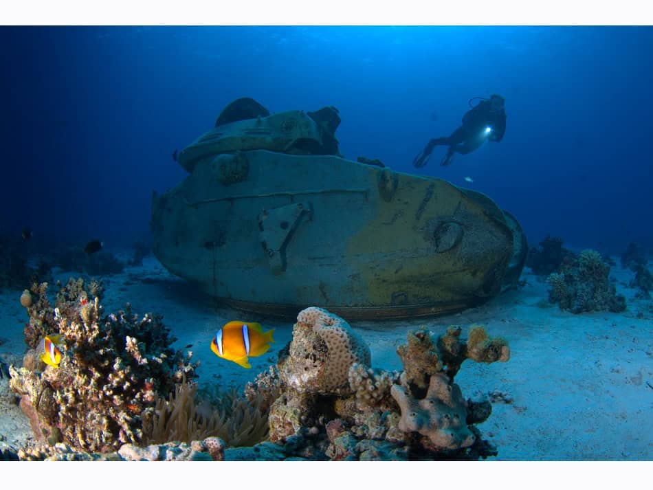 Hurghada daniel breckmann 19