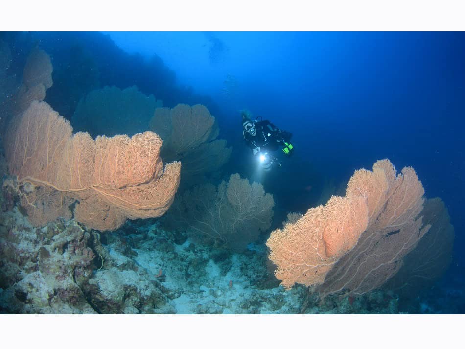 Hurghada daniel breckmann 2