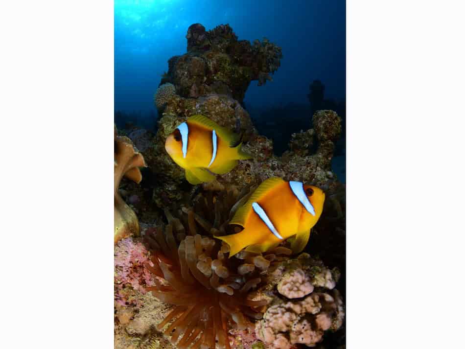 Hurghada daniel breckmann 5