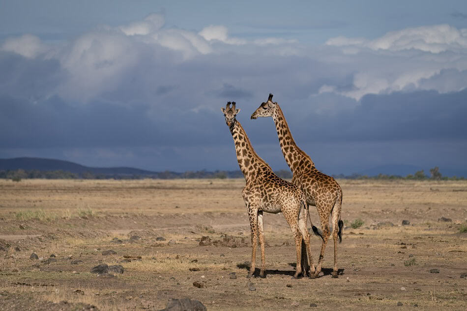Kenya fabrice dudenhofer 8