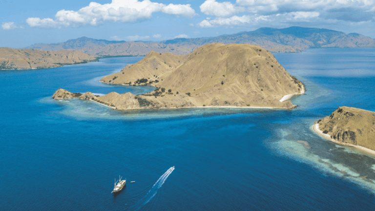 Komodo couverture