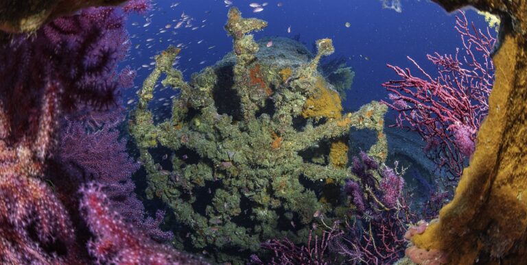 L'épave du Donator, parée de coraux colorés, offre un spectacle fascinant pour les passionnés de plongée sous-marine.