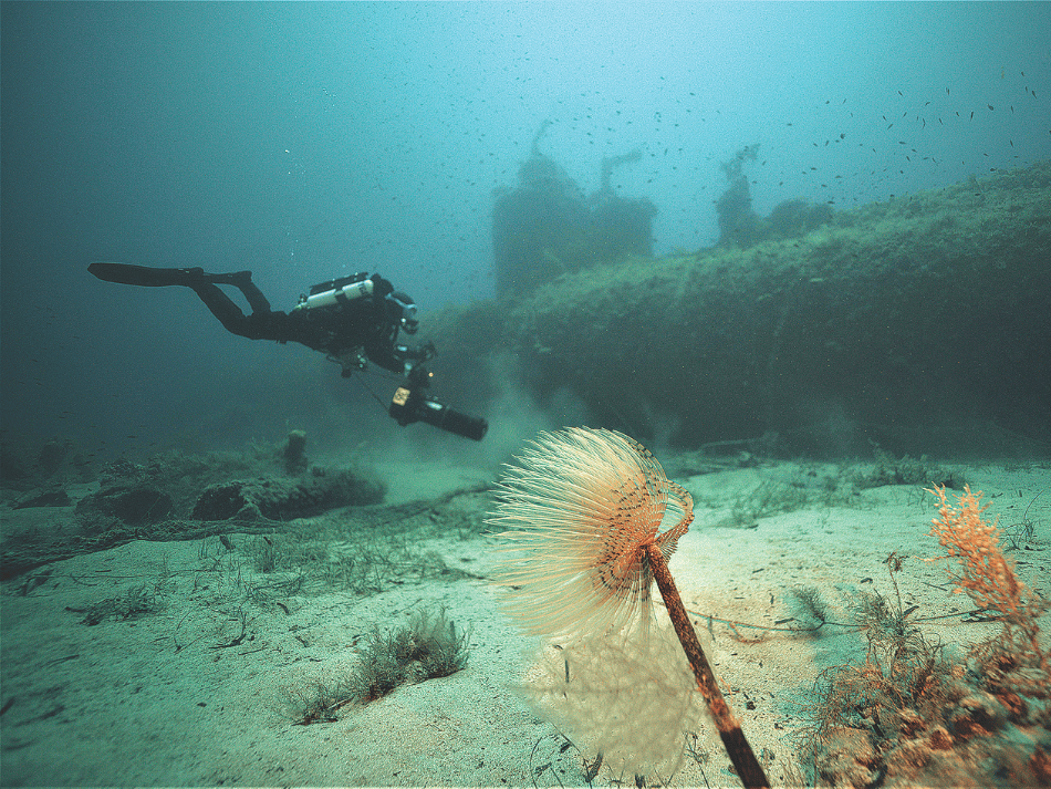 Lampedusa (2)