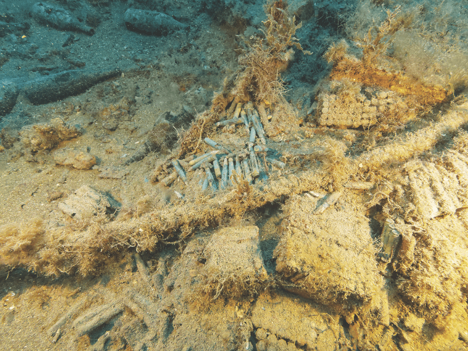 Lampedusa (8)