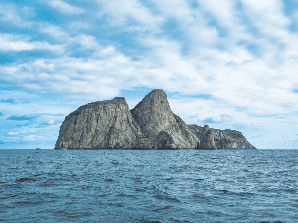 Malpelo (8)