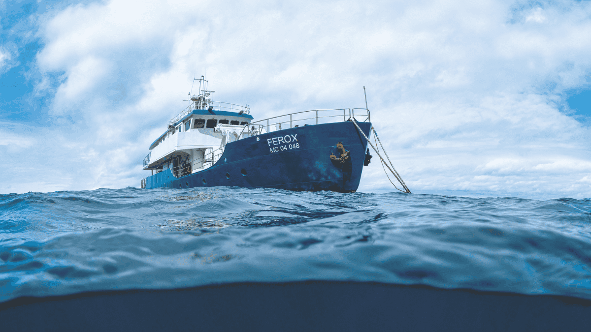 Malpelo couverture