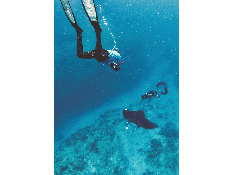 Manta (5)
