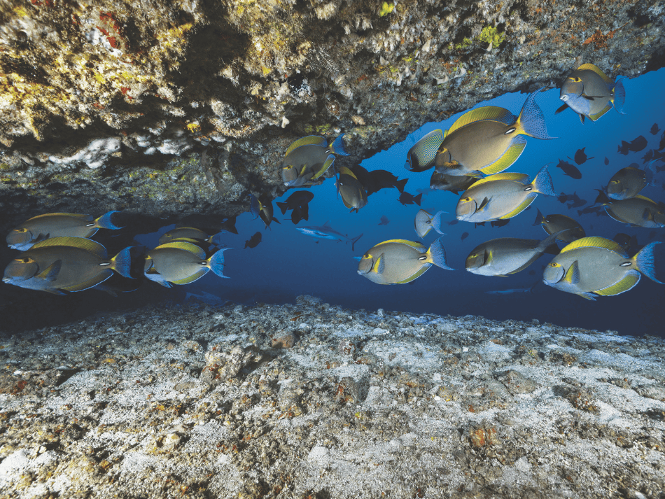 Mayotte (2)
