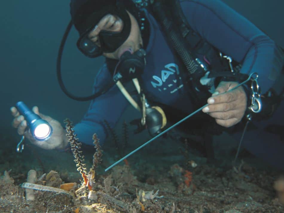 Muck dive 1