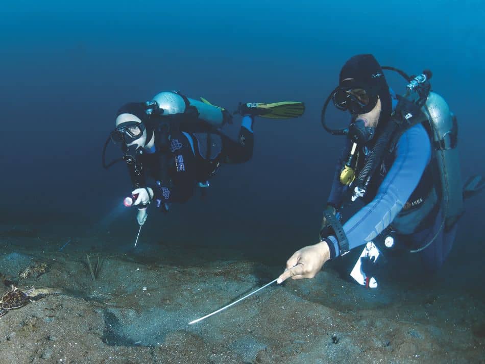 Muck dive 3