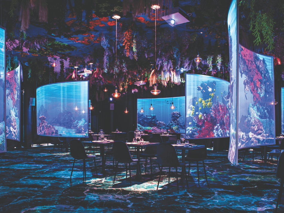 Resto (1)