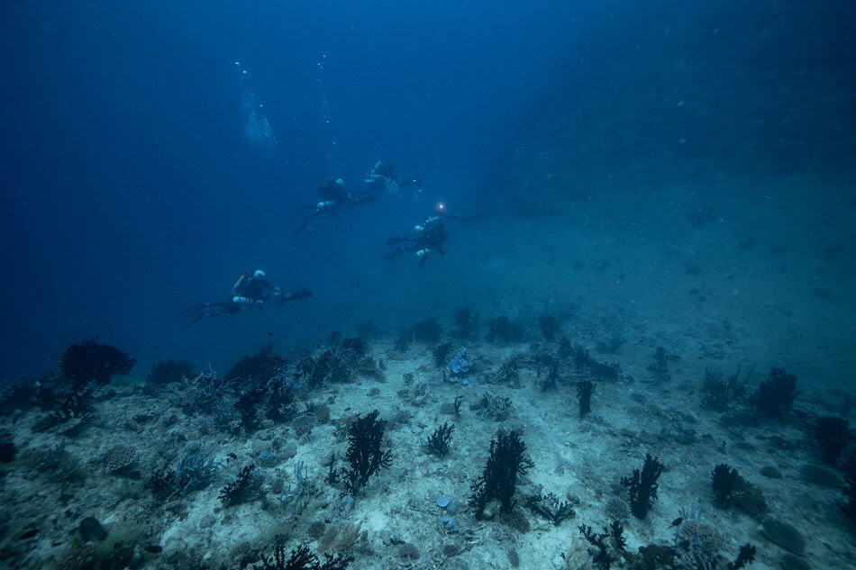 Retour grotte mayotte gaby barathieu 6