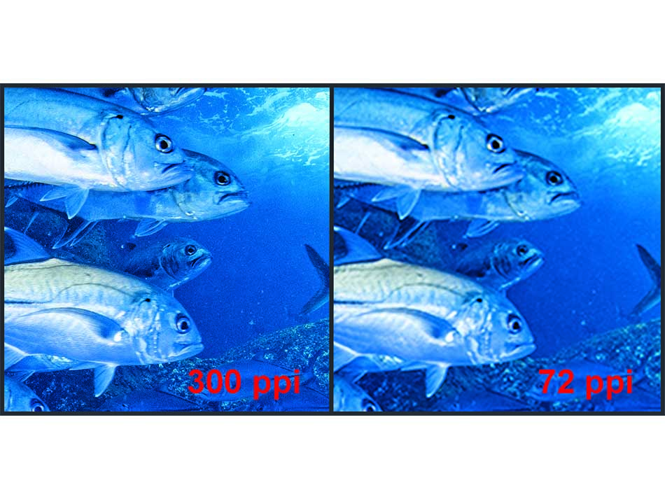 Aquapixel44