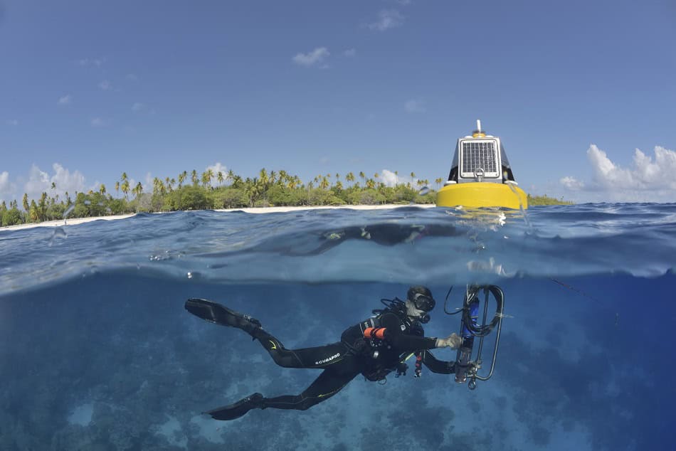 Atoll taiaro pascal kobeh 15