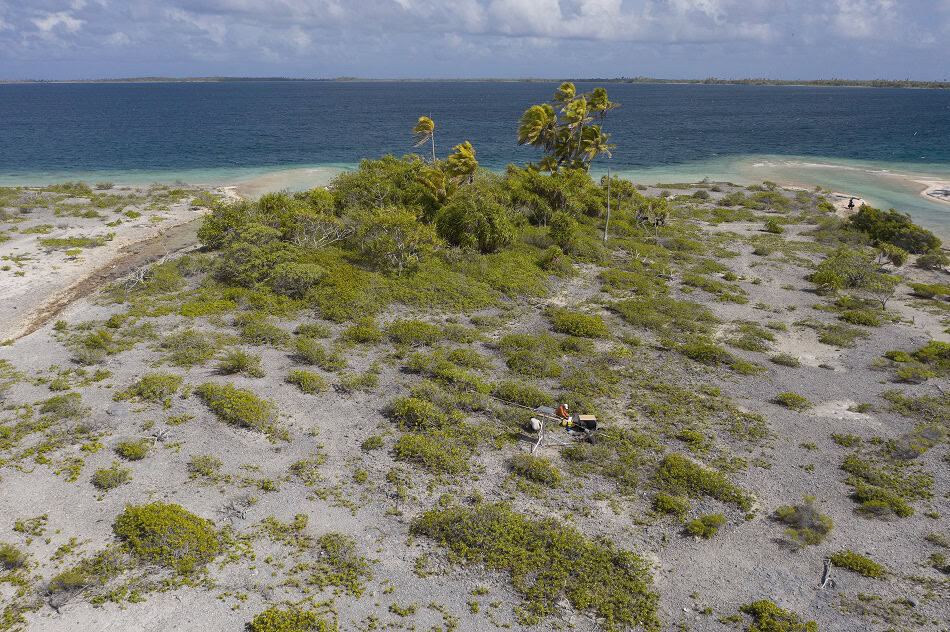 Atoll taiaro pascal kobeh 9