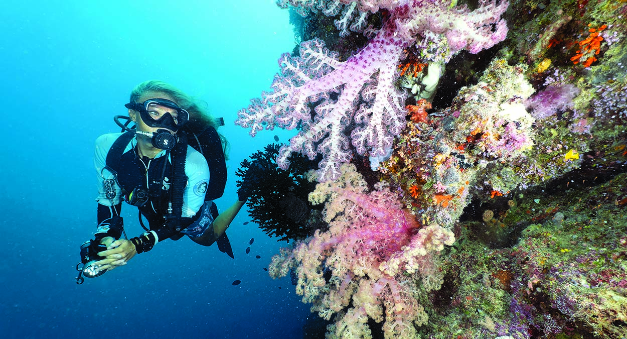Un plongeur explore un récif vibrant de coraux mous colorés, illustrant la biodiversité marine exceptionnelle.