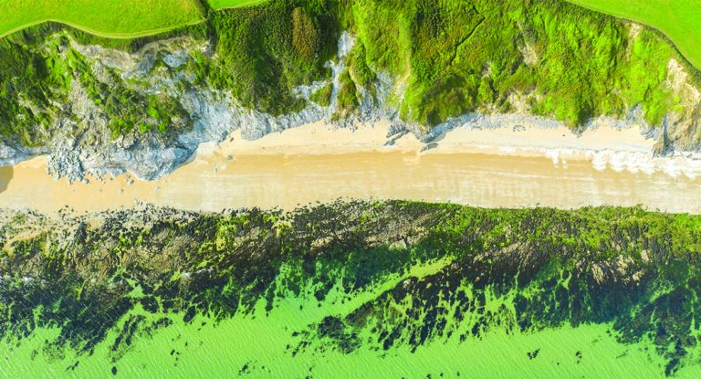 Vue aérienne d'une crique sauvage où la mer turquoise rencontre des falaises verdoyantes, idéale pour une escapade de plon...